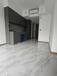 The Landmark (D3), Condominium #513424741